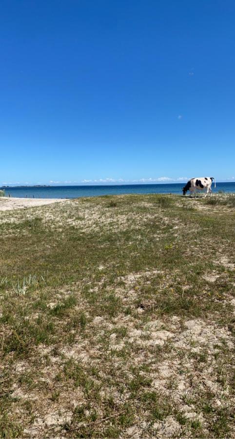 Bo I Egen Stuga Pa Haerlig Oelandsgard Köpingsvik Kültér fotó