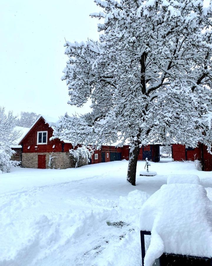 Bo I Egen Stuga Pa Haerlig Oelandsgard Köpingsvik Kültér fotó